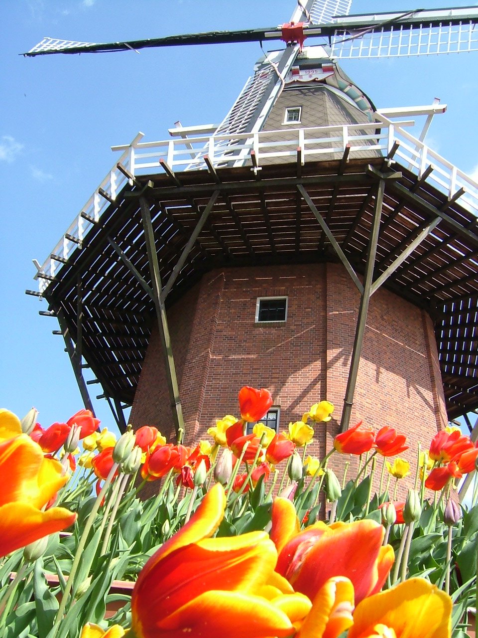 🌳 토소파크 에이겐잔(토소파크 에이겐잔) 이미지 10